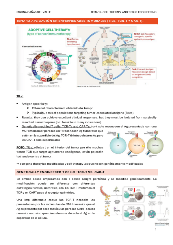 Miniatura del documento TEMA-12-Aplicacion-en-enfermedades-tumorales-TILs-TCR-T-y-CAR-T..pdf