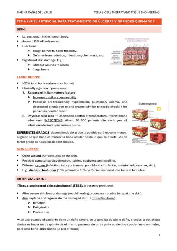 Miniatura del documento TEMA-8-Piel-artificial-para-tratamiento-de-ulceras-y-grandes-quemados.pdf