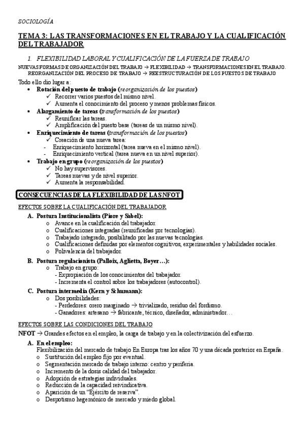Miniatura del documento RESUMEN-TEMA-3.pdf