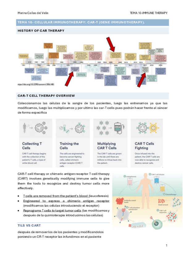 Miniatura del documento TEMA-10-Cellular-immunotherapy-CAR-T-gene-immunotherapy..pdf
