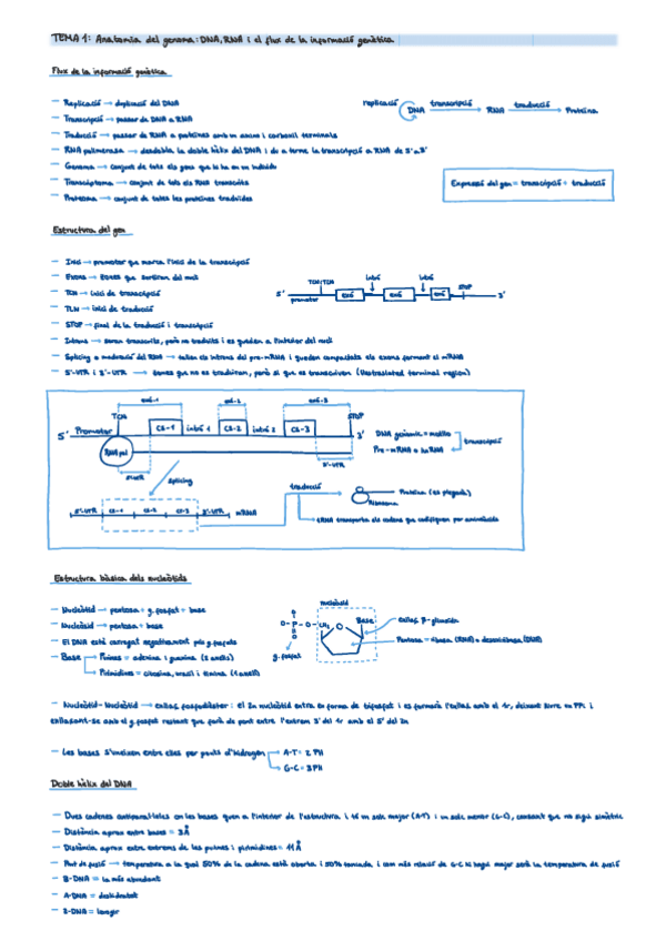 Miniatura del documento Resum-Parcial-Bio-Mol.pdf