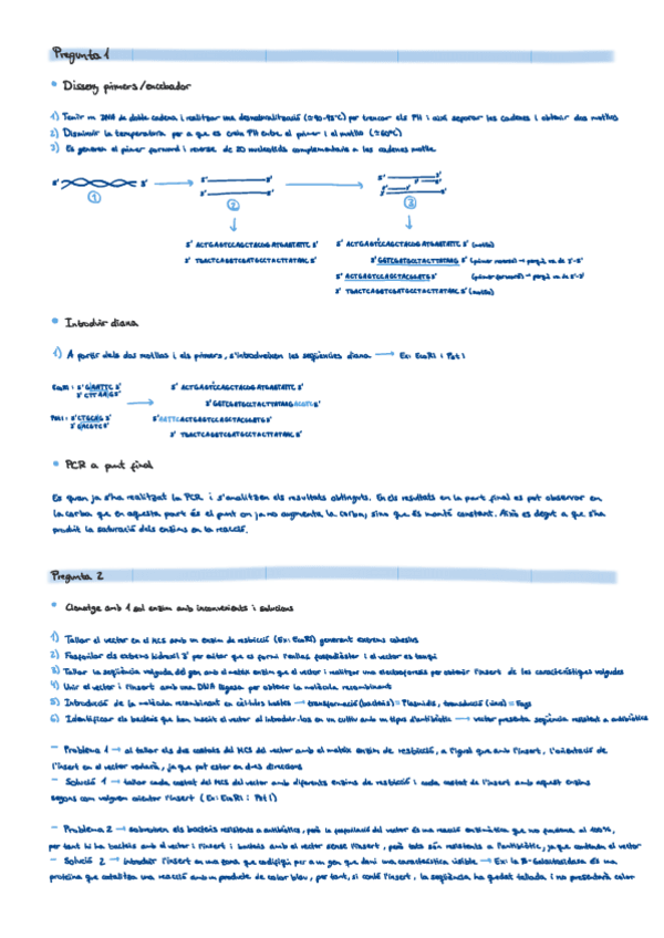 Miniatura del documento Preguntes-Curtes-Parcial-Bio-Mol.pdf