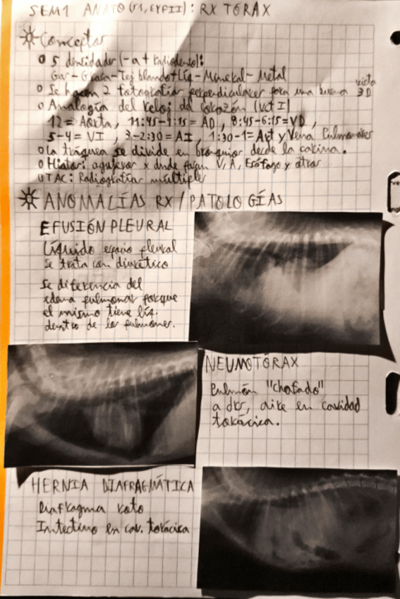 Miniatura del documento EYFII-Sist1-Anato-SEM1-RX.pdf