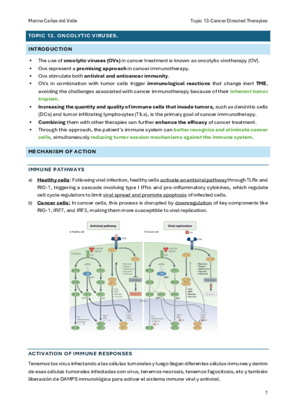 Miniatura del documento Topic-13.-Oncolytic-viruses..pdf