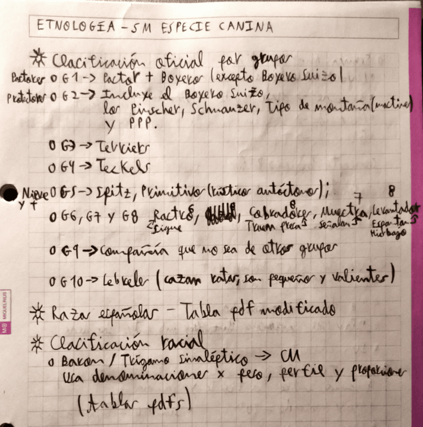 Miniatura del documento Etnologia-SEM-Canidos.pdf