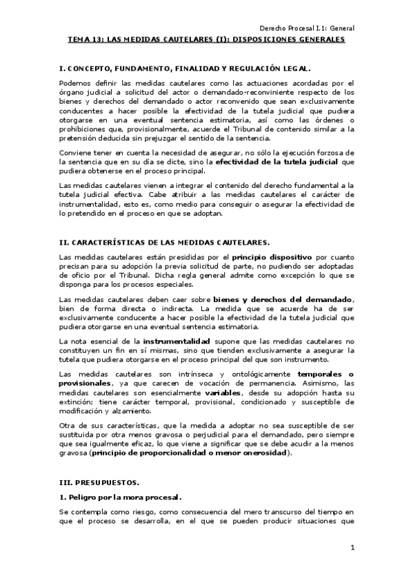 Miniatura del documento TEMA-13-Las-medidas-cautelares-I-Disposiciones-generales.pdf
