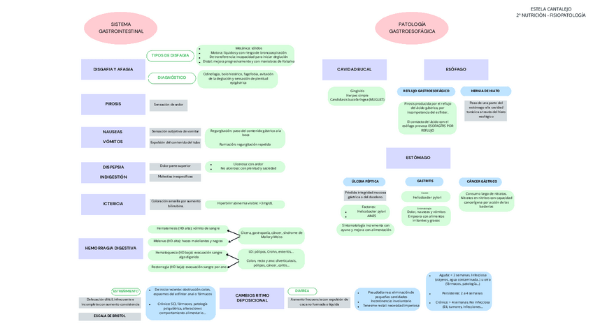 Miniatura del documento APARATO-DIGESTIVO-1.pdf.pdf