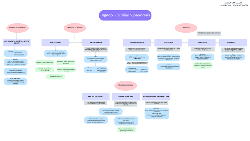 Miniatura del documento BLOQUE-3-HIGADO-VIA-BILIAR-Y-PANCREAS.pdf.pdf