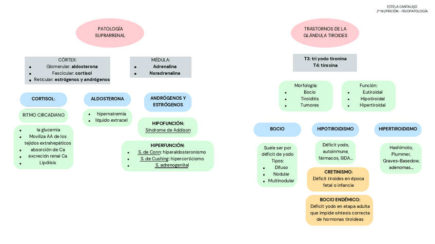 Miniatura del documento ENDOCRINO.pdf