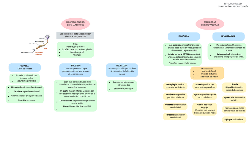 Miniatura del documento NERVIOSO-RENAL-Y-RESPIRATORIO.pdf