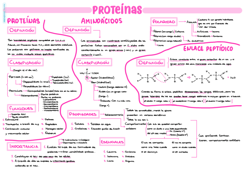 Miniatura del documento Proteinas.pdf