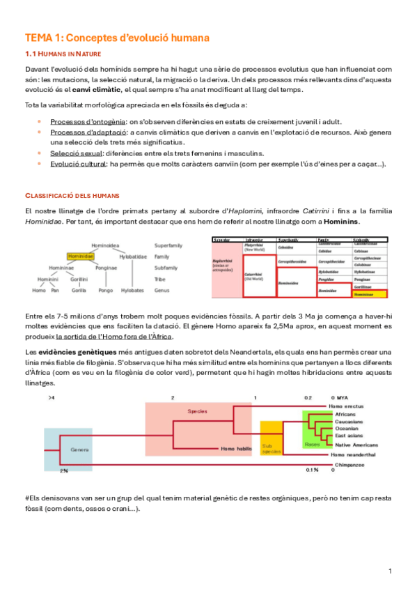 Miniatura del documento EVOLUCIO-HUMANA.pdf