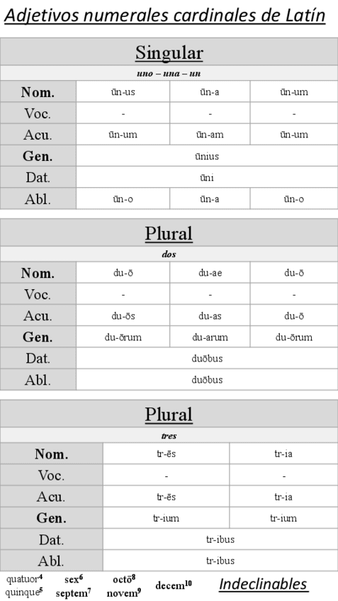Miniatura del documento Adjetivos numerales cardinales - Latín.pdf