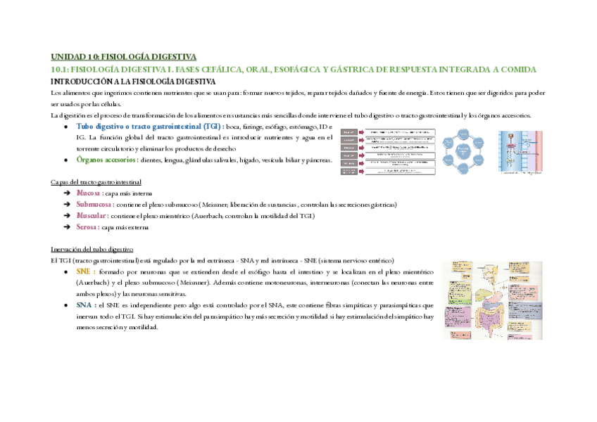 Miniatura del documento TEMARIO-10-FISIOLOGIA.pdf