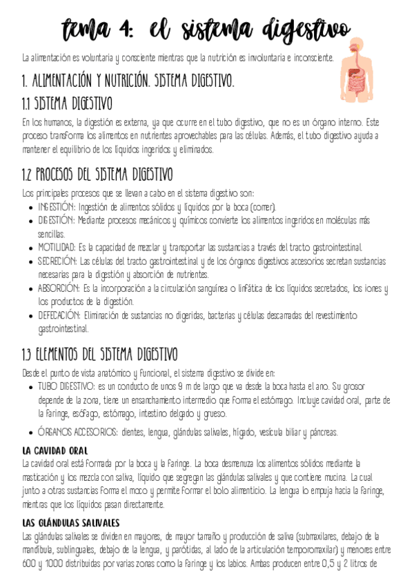 Miniatura del documento TEMA-4-ANATOMIA-EL-SISTEMA-DIGESTIVO.pdf