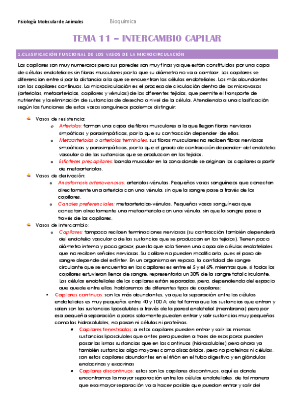 Miniatura del documento TEMA-11-HECHO.pdf