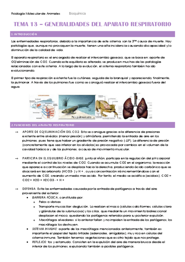 Miniatura del documento TEMA-13-HECHO.pdf