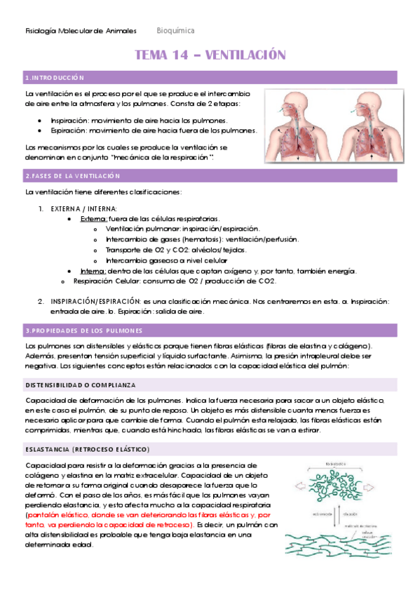 Miniatura del documento TEMA-14-HECHO.pdf