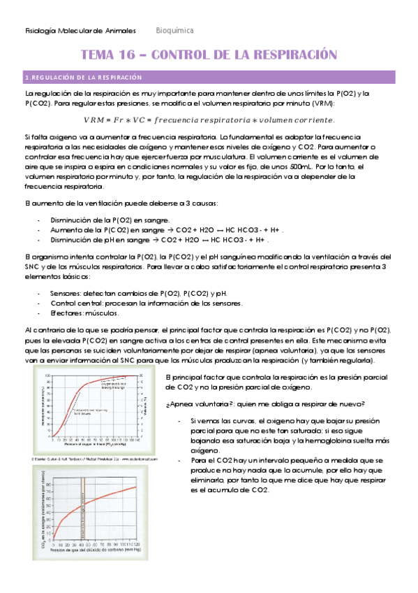 Miniatura del documento TEMA-16-HECHO.pdf