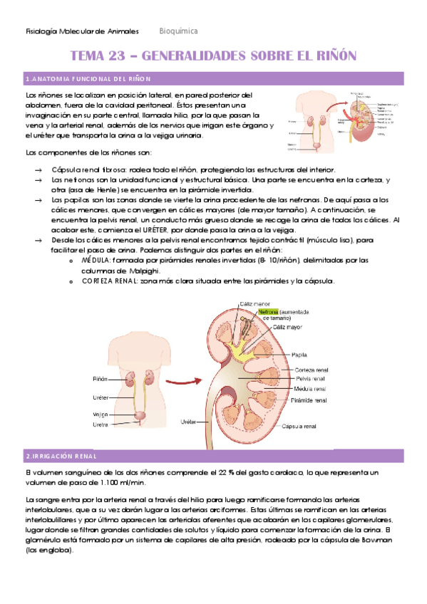 Miniatura del documento TEMA-23-HECHO.pdf