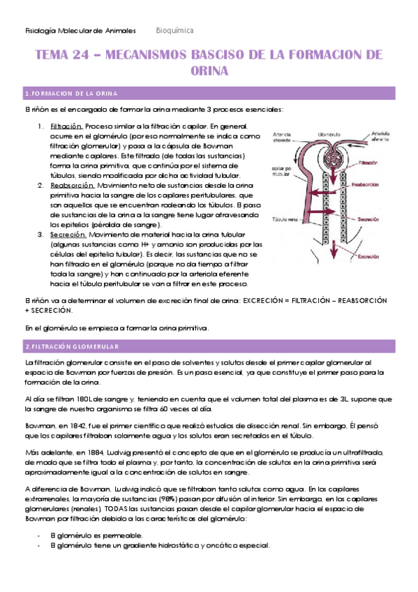 Miniatura del documento TEMA-24-hecho.pdf