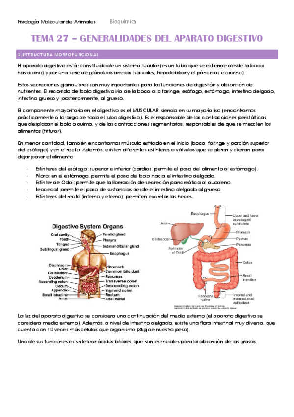 Miniatura del documento TEMA-27-HECHO.pdf