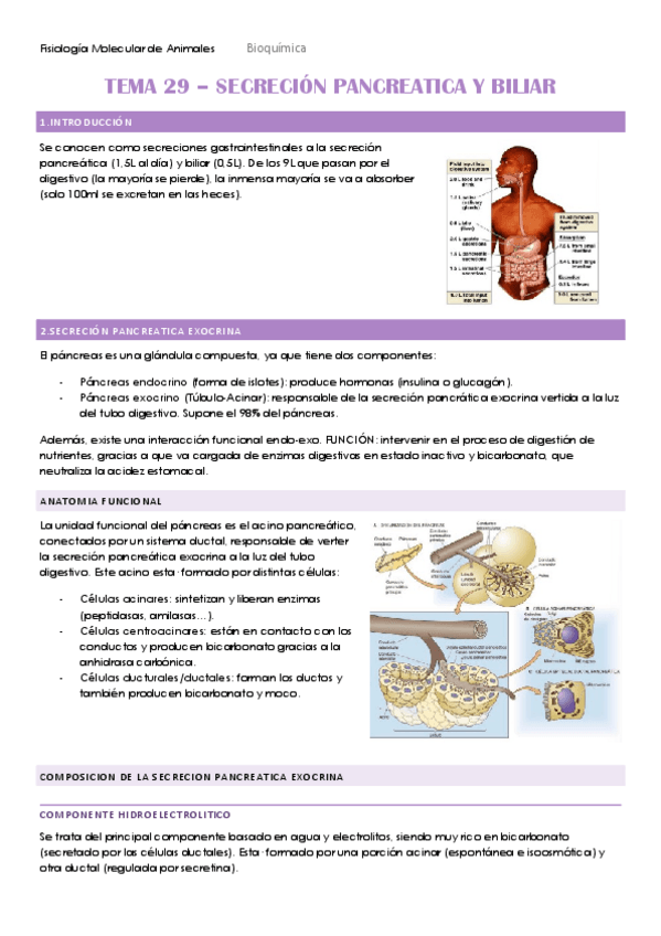 Miniatura del documento TEMA-29.pdf