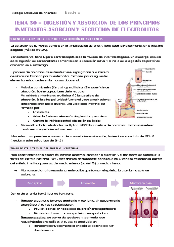 Miniatura del documento TEMA-30.pdf
