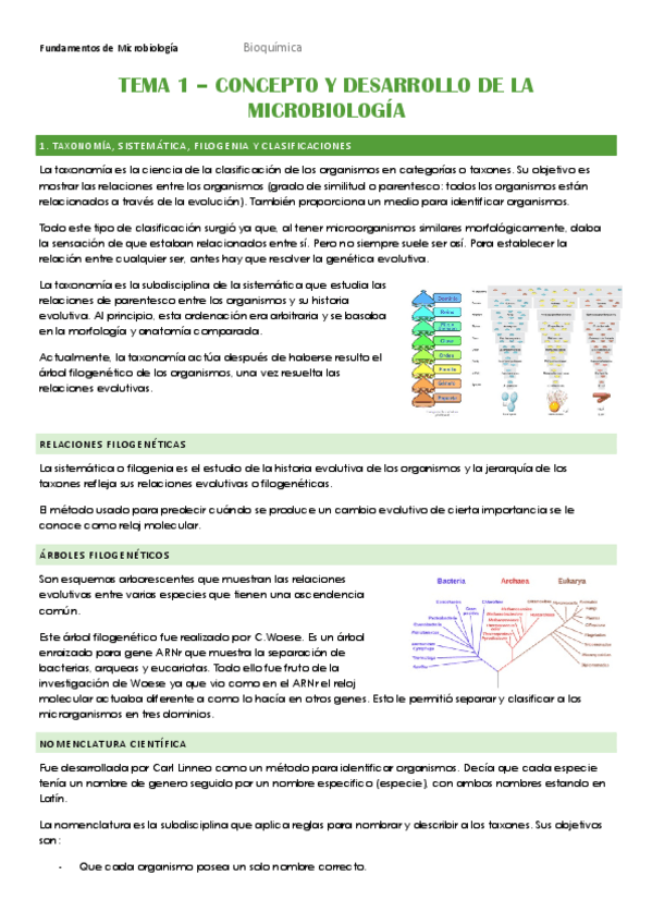 Miniatura del documento TEMA-1.pdf