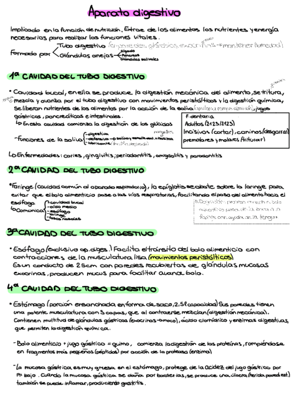 Miniatura del documento Aparato-Digestivo-Respiratorio.pdf