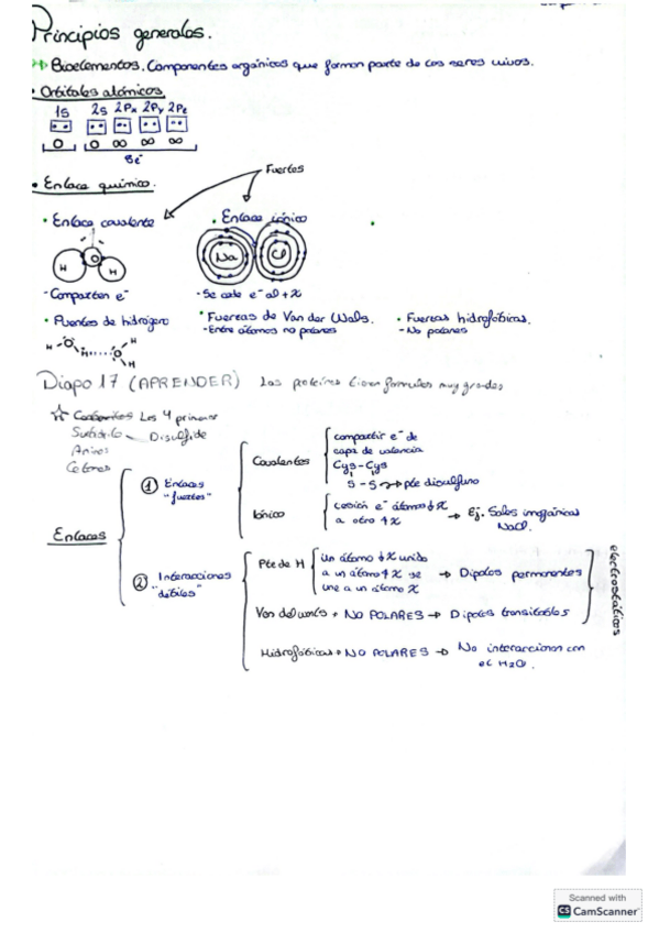 Miniatura del documento Principios-generales-bioquimica.pdf