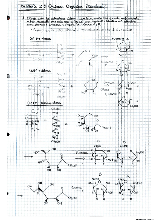 Miniatura del documento boletin-2-biomolecular-provisional.pdf