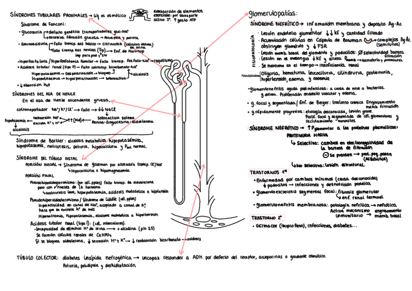 Miniatura del documento RESUMEN-PATOLOGIAS-DE-LAS-NEFRONAS.pdf