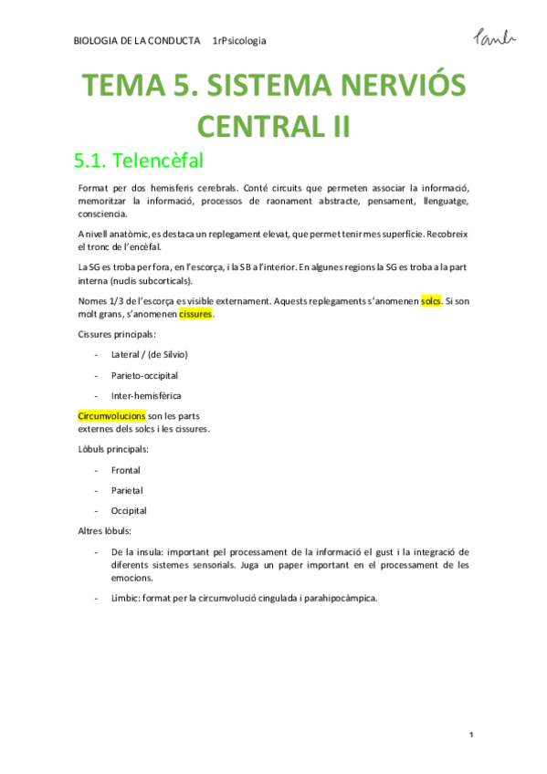 Miniatura del documento BIO - TEMA 5. SISTEMA NERVIÓS CENTRAL II (Psicologia UB 1r).pdf