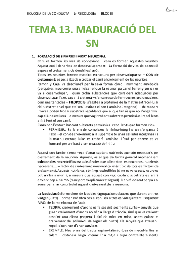 Miniatura del documento BIO - TEMA 13. MADURACIÓ DEL SN (Psicologia UB 1r).pdf