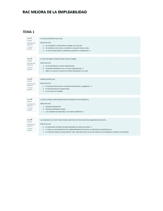 Miniatura del documento RAC-MEJORA-EMPLEABILIDAD.pdf