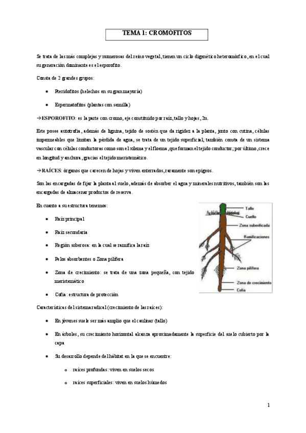 Miniatura del documento TEMA-1-BOTANICA-II.pdf