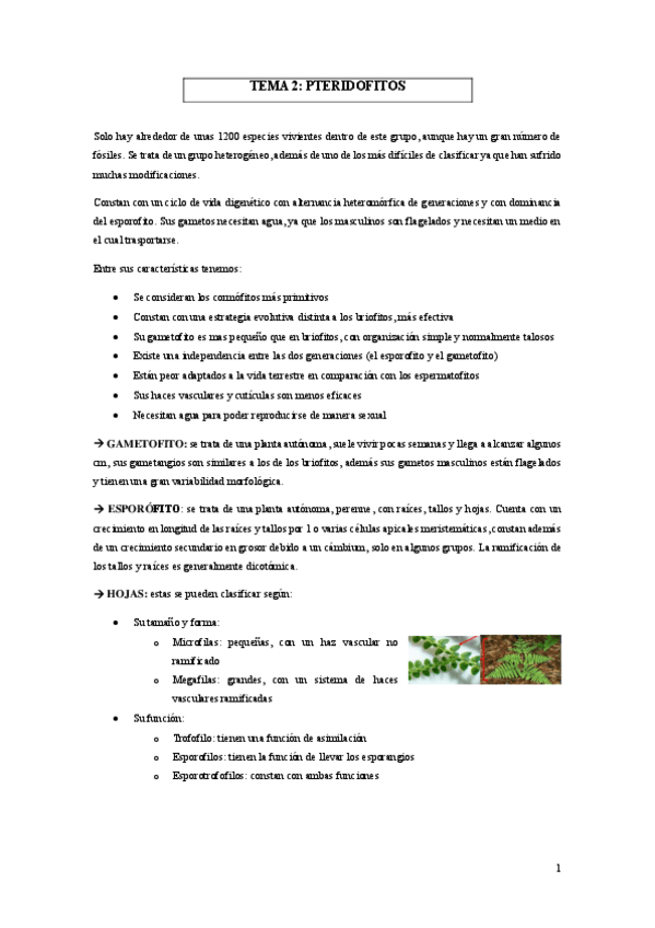 Miniatura del documento TEMA-2-BOTANICA-II.pdf