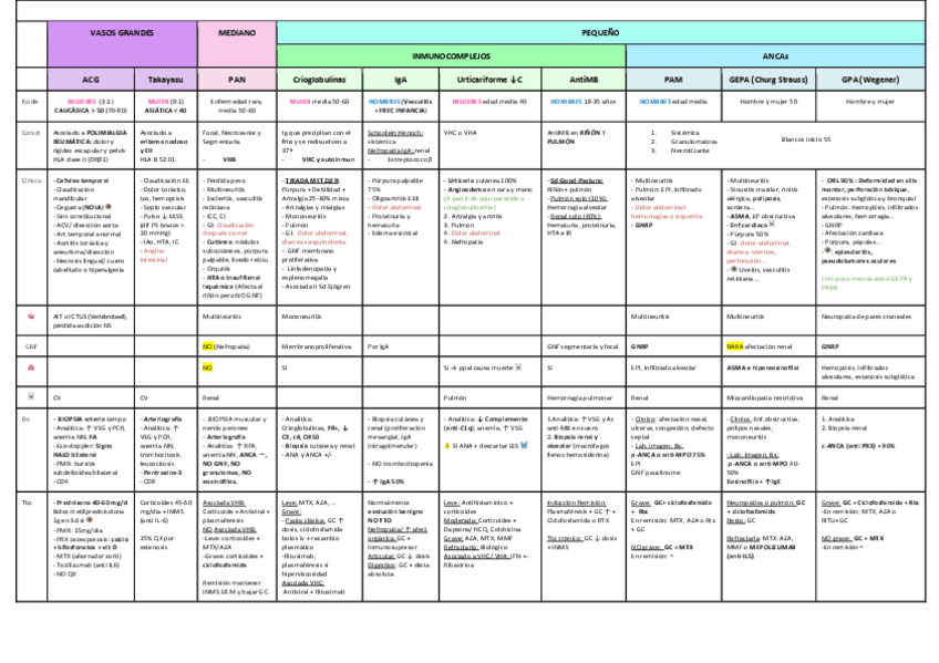 Miniatura del documento VASCULITIS.pdf