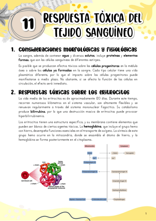 Miniatura del documento Tema-11.-Respuesta-toxica-del-tejido-sanguineo.pdf