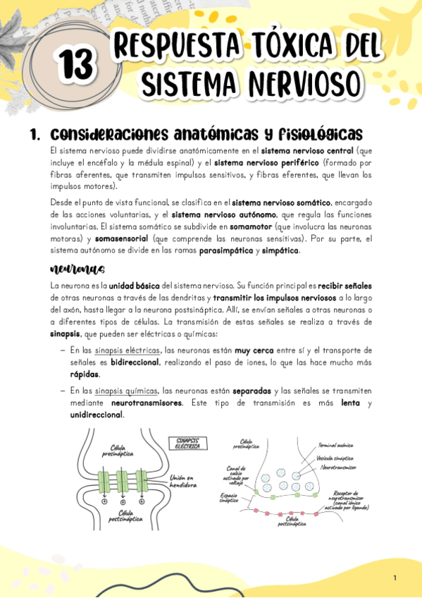 Miniatura del documento Tema-13.-Respuesta-toxica-del-sistema-nervioso.pdf