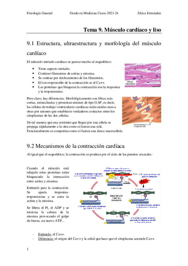 Miniatura del documento Tema-17_Musculo-Cardiaco-y-Liso.pdf