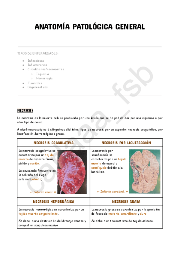 Miniatura del documento Tema-4--Anatomia-patologica-general.pdf
