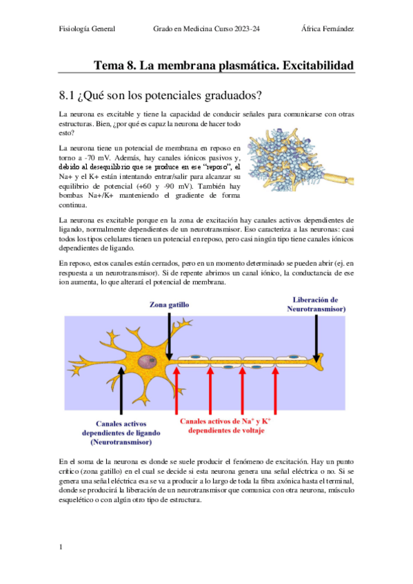 Miniatura del documento Tema-8_La-membrana-plasmatica_Excitabilidad.pdf