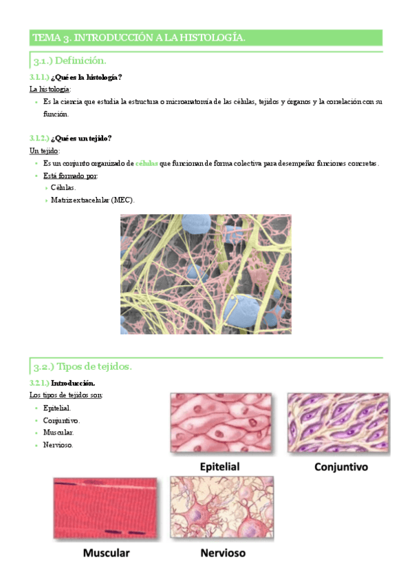 Miniatura del documento Tema-3.-Introduccion-a-la-histologia..pdf