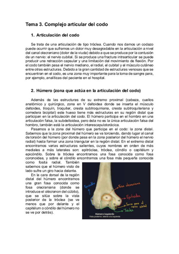 Miniatura del documento TEMA-3-ANATOMIA-HUMANA-I.pdf
