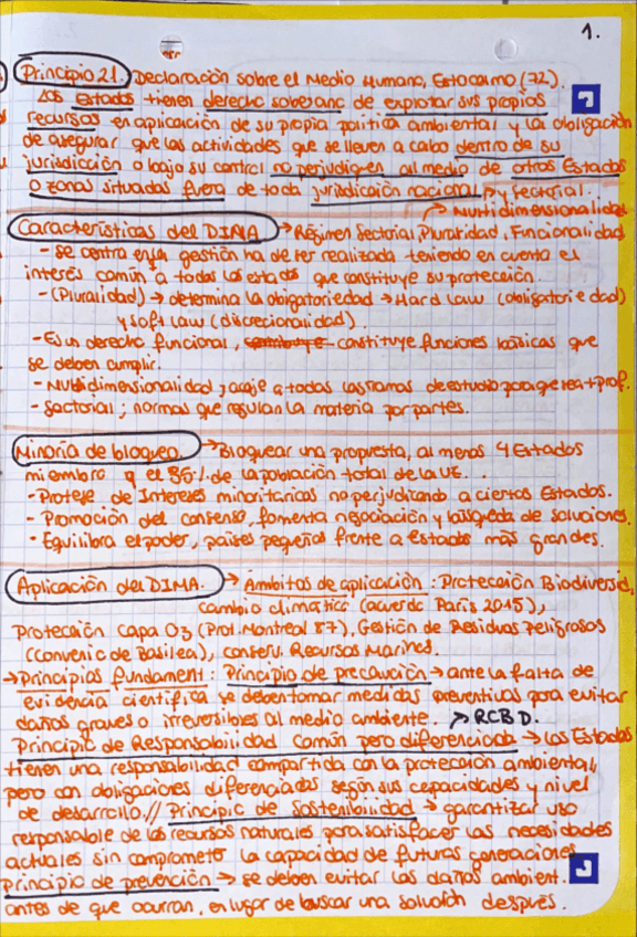 Miniatura del documento DIMAimportante.pdf