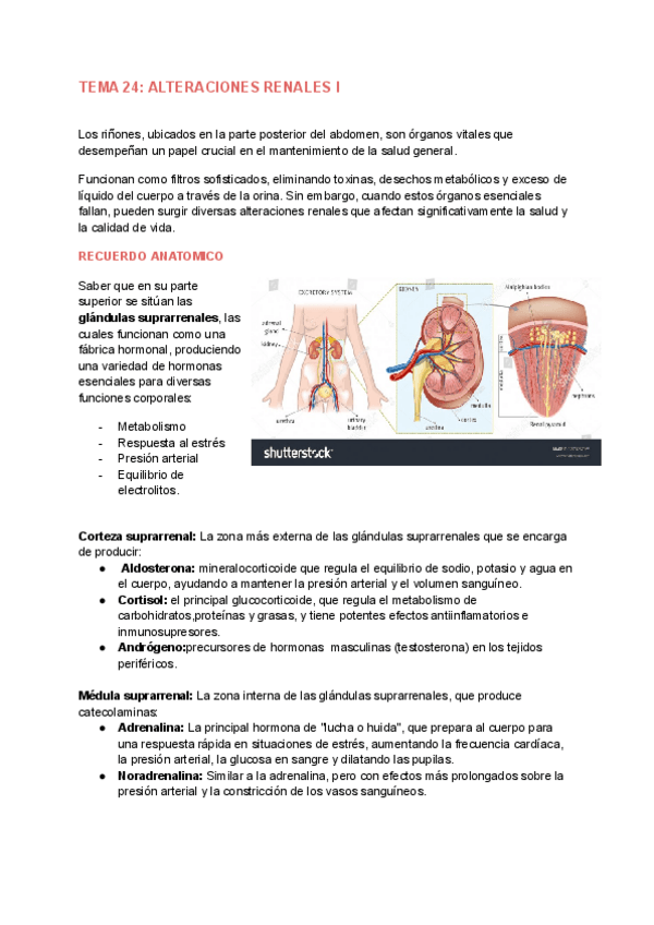 Miniatura del documento TEMA-24-ALTERACIONES-RENALES-I-pdf.pdf