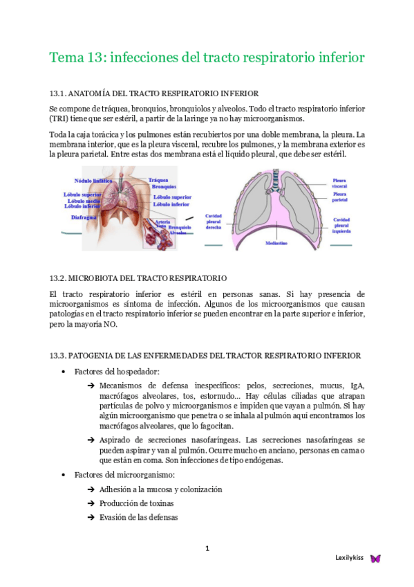 Miniatura del documento Tema 13 microbiología clínica.pdf
