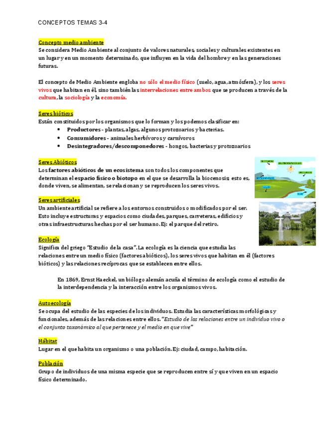 Miniatura del documento ConceptoS-t3-t4.pdf